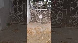 Поездка уважаемого бхикку Кхеманандо по древним буддийским местам в Индии (записи 17 ноября)