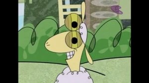 “Sheep in the Big City” is the Most Insane CN Show