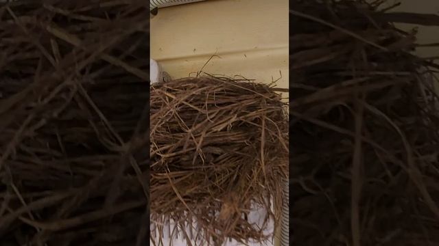 Энергоэффективное жильё класса А ++ для молодых семей! смотреть онлайн