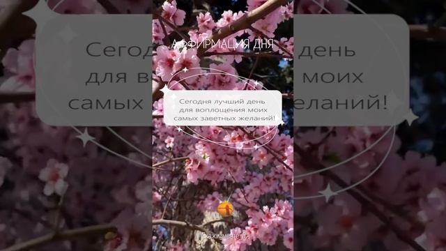 Аффирмация дня  #Скажи_мечте_ДА #СкажимечтеДА#мечта