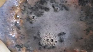 Перекись водорода и платиновые металлы.