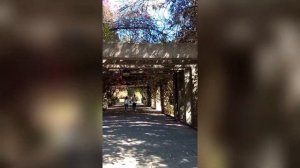 Как мы переехали в США с 4-мя детьми. Семейный влог 2+4 в Америке