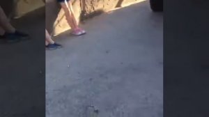 Блокировка автомобиля. Как инициировать привлечение к административной ответственности