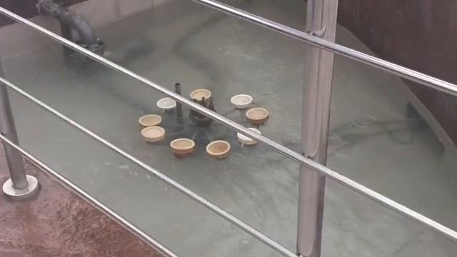 Все фонтаны в мкр Солнечном . Красноярск смотреть онлайн