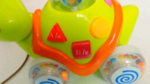 Игрушечная черепашка поет алфавит - игрушки для детей