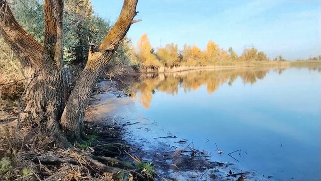 Рыбалка 2024 Цимлянск смотреть онлайн