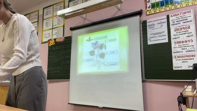 Окружающий мир 2 класс