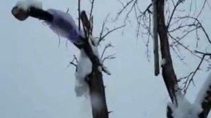 Прививка со снегом