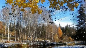 Первый снегопад... Наталья Любимова