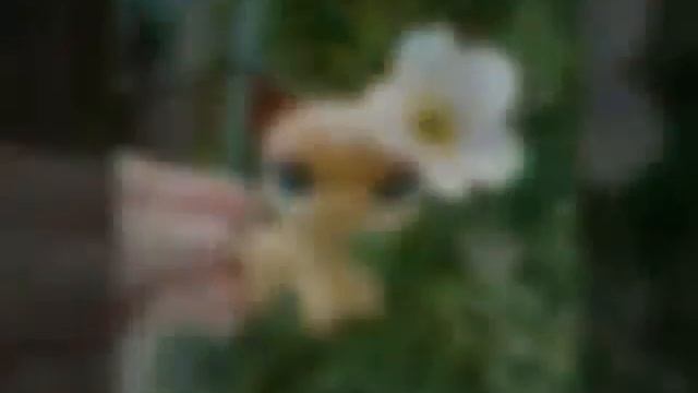 Моя любимая стоячка ева слайд шоу💖💖💗💗💙❤💚💛💚💙💓💔💞💔💖 смотреть онлайн