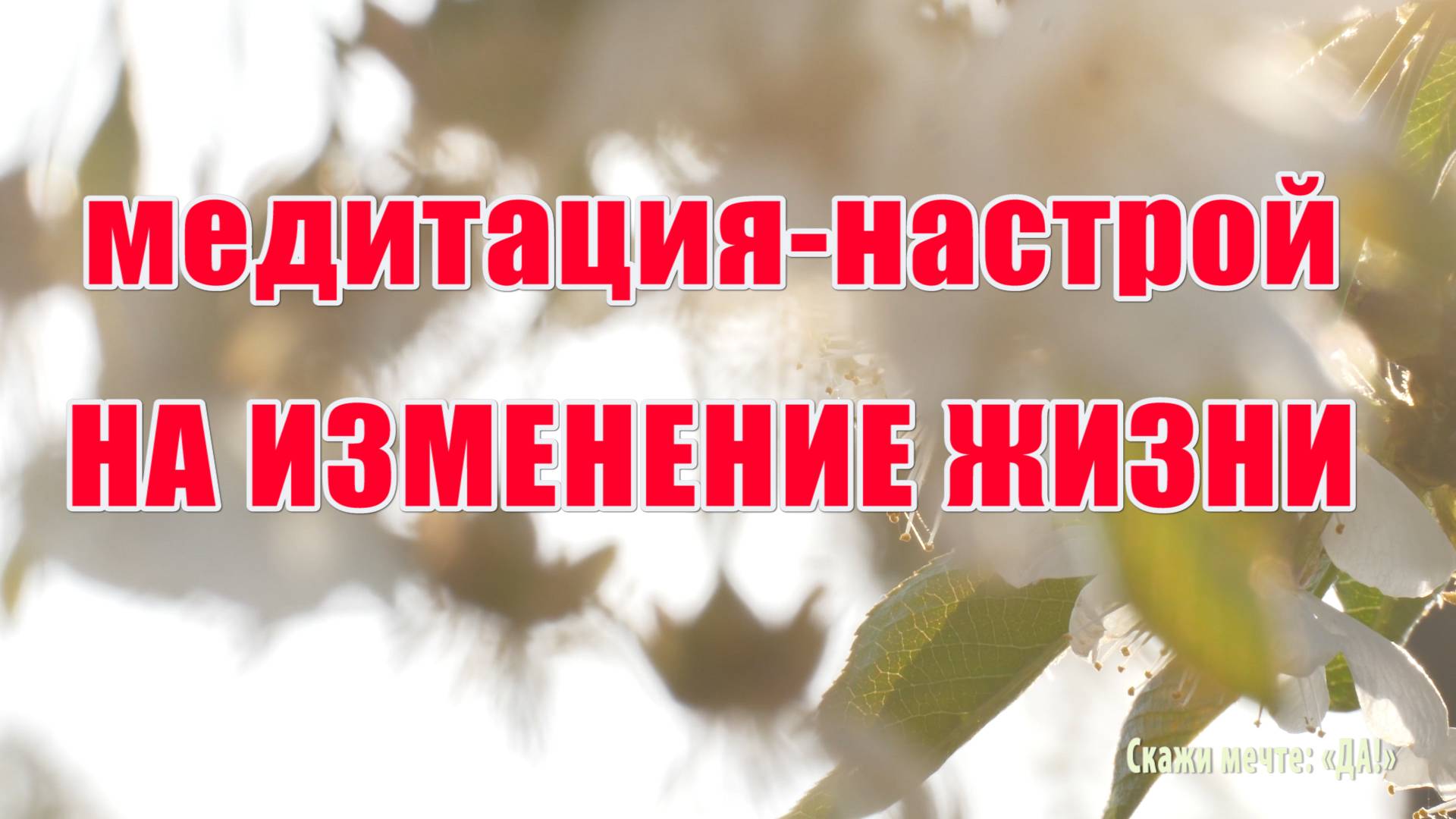 Медитация на изменение жизни