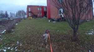 детский дом день 1