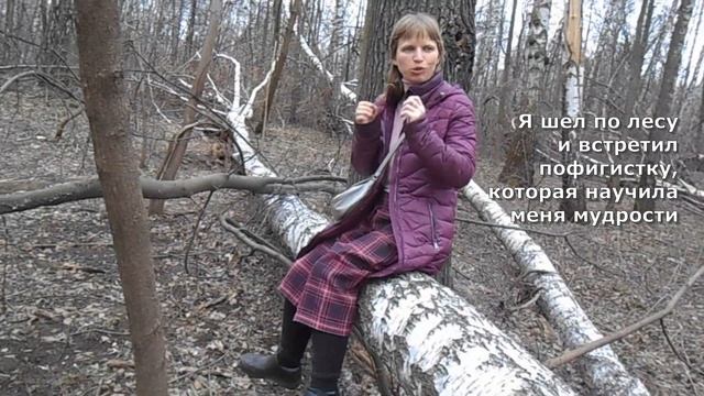 Лесной пуфик.