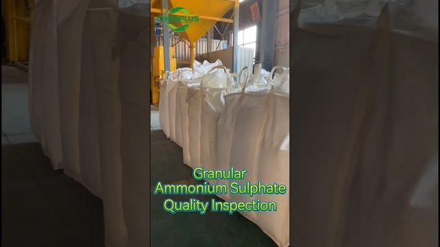 CHEMPLUS AGRO TEAM QUALITY INSPECTION OF GRANULAR AMMONIUM SULPHATE EVERYDAY  #ammoniumsulphate