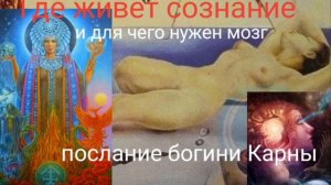 Где живёт сознание и для чего нужен мозг_ Послание богини Карны - @В Кольцова ,читает @Н Куделькина
