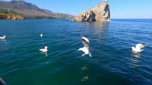 Прогулка на катере по озеру Байкал