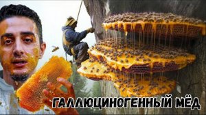 Смертельно опасный мёд.