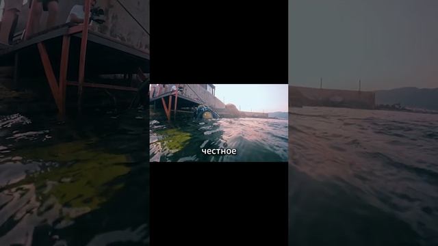 Под водой с парализованными ногами: История о смелости и мечте, воплощенных в дайвинге. №3 #дайвинг смотреть онлайн