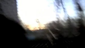 1 выпуск про белак (дегу)