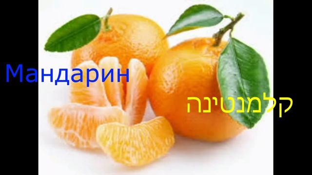 Фрукты и ягоды на иврите смотреть онлайн