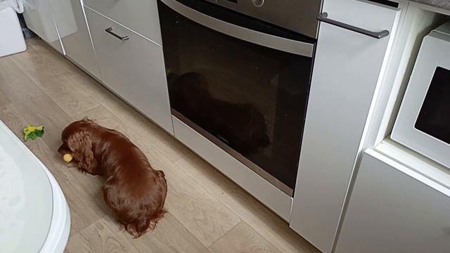 🤷♀Не всегда убираюсь/🤗процедура в домашних условиях/сам себе косметолог.💄 смотреть онлайн