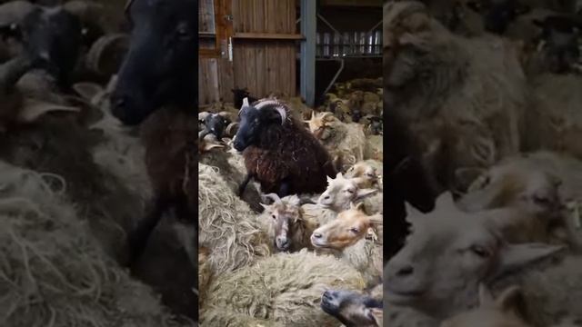 5570 1021329 mp3 смотреть онлайн