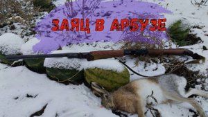 Заяц в арбузе 🐰🐰Охота по первому снегу.❄️⛄