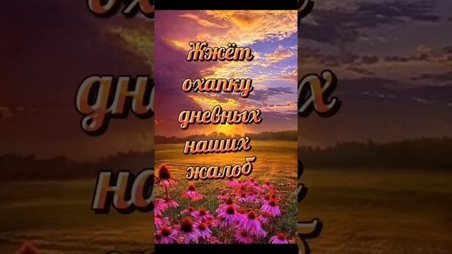 С добрым вечером! Уютного тебе вечера!