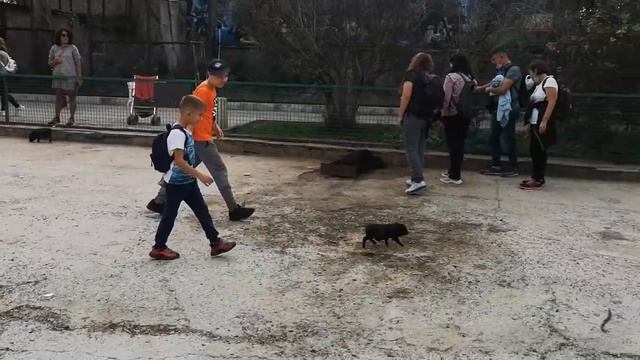 Хроника путешествия по Крыму в октябре 2020 смотреть онлайн