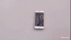 skibidi toilet rule 34❌