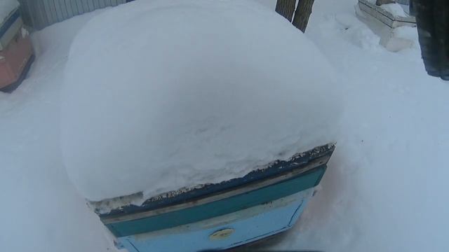 Феромон пчелиной молодости смотреть онлайн