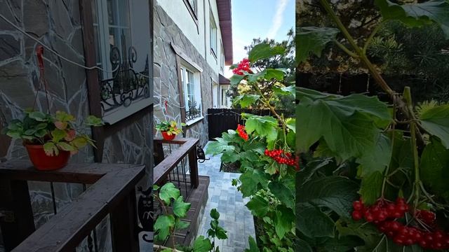 Готовый объект в городе Солнечногорск #тротуарнаяплитка #отмостка#дача#укладкабрусчатки #мощение