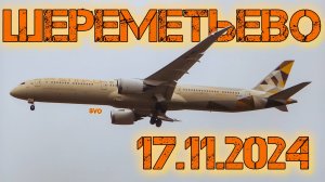 Споттинг в Шереметьево 17.11.2024