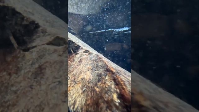 #short #истоки #приморскийкрай #grouphiking #grouptrekking #nature #primorye #russia смотреть онлайн