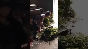 Из жизни вьетнамской женщины
