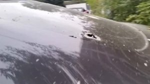 Х6 в растворе
