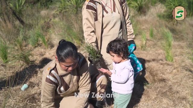 Tree Plantation Drive at Mangere Bridge, Auckland | Shah Satnam Ji Green S Welfare Force Wing смотреть онлайн