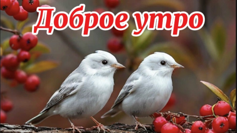 Доброе утро!  Сладкого пробуждения
