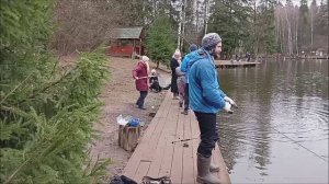 Динамичная рыбалка по форели на Нижнем водоёме. Клёвое место лосиный остров.