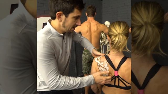 Fix a Winging Scapula Once and For All! Winged Scap Exercise -MoveU смотреть онлайн