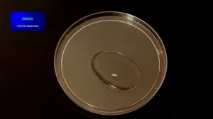 Кристаллизация тиосульфата натрия | ЕГЭ по химии