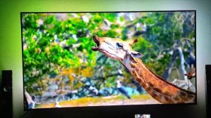 ЛУЧШИЕ 4К ТЕЛЕВИЗОРЫ В 2024 ГОДУ: Samsung, Sony, Philips, Xiaomi, Hisense, TCL