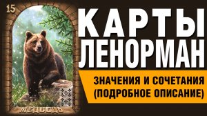 ЛЕНОРМАН | Значения и сочетания | 15. Медведь