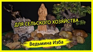 ДЛЯ СЕЛЬСКОГО ХОЗЯЙСТВА. ДЛЯ ВСЕХ. #ВЕДЬМИНАИЗБА ▶️ #МАГИЯ