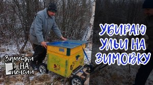 Убираю ульи на зимовку #пчелы #пасека #деревня