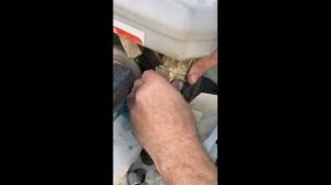 Септария , распиловка камня