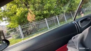 УФФ ЧТО ЗАСНЯЛ ДАНИЛА ГОРИЛЛА -НАСТЯ