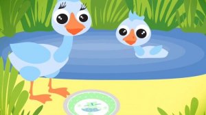 Кормим маленьких зверушек