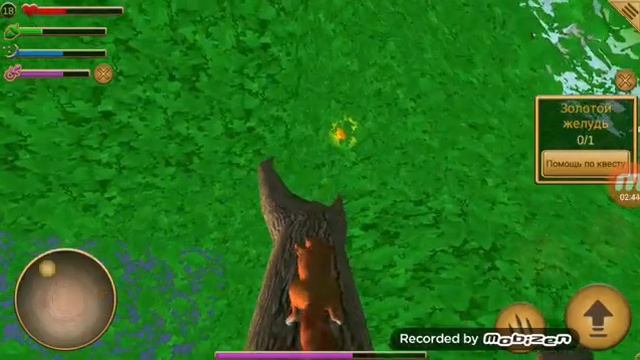 Крутая игра белка летяга!!!!!????