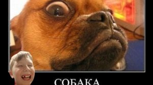 Челенж засмиялся проиграл